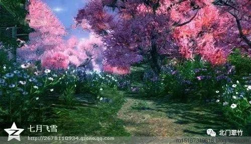 清宫Q传
