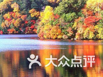 全民烧脑3去广告版