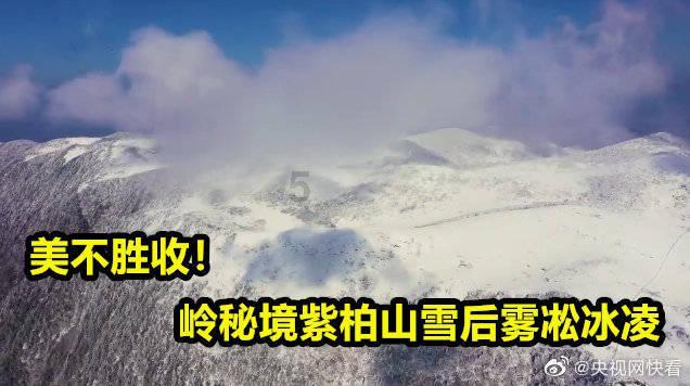 极限赛车手