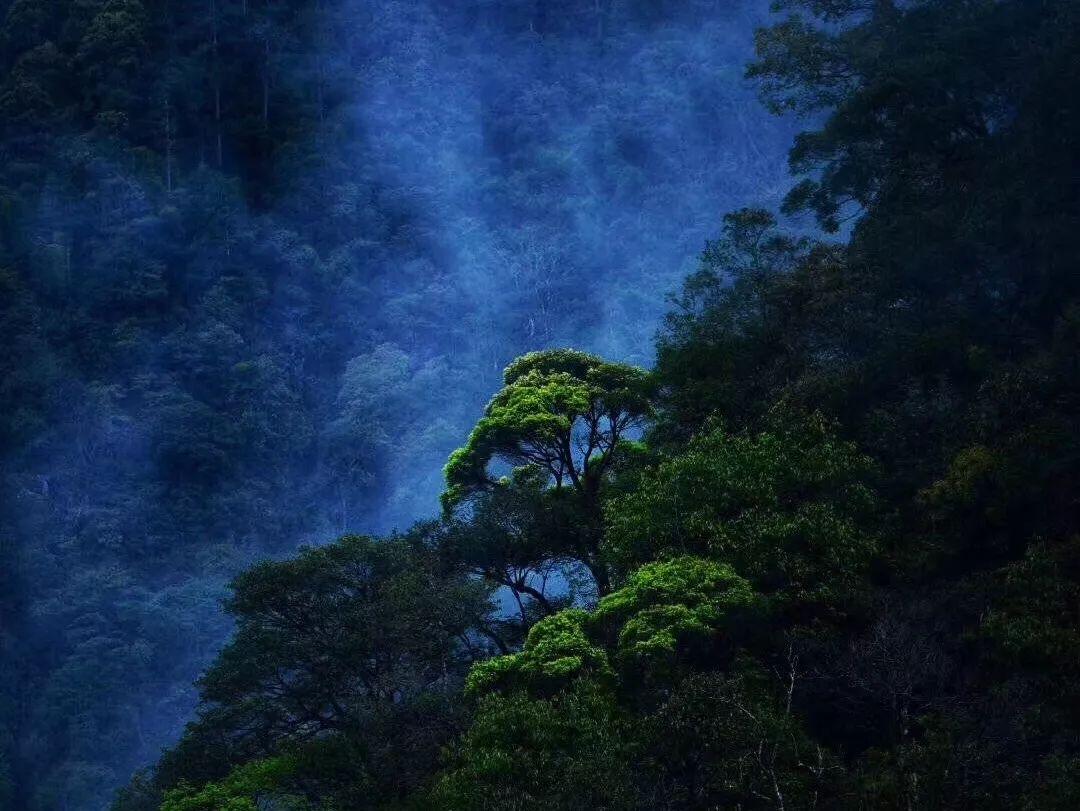 魔法时钟找不同