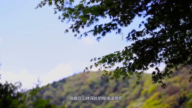 古董市场