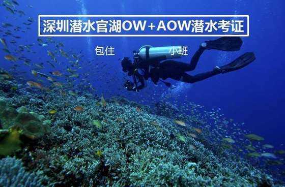 冬天下雪时,北方人VS南方人