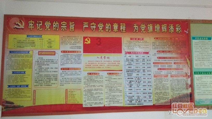 逗小猴开心系列164