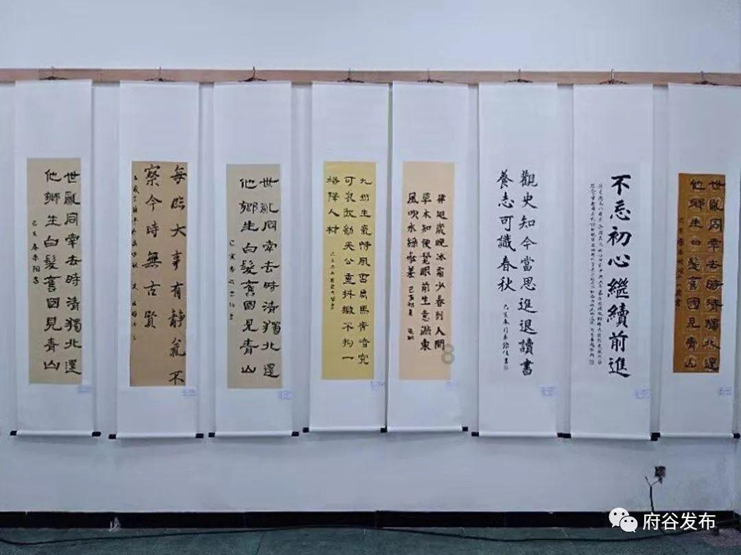 猫和老鼠官方手游