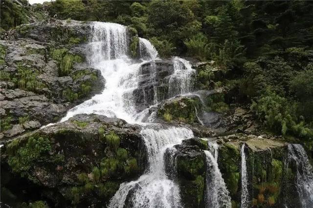 灰霉菌培养温度