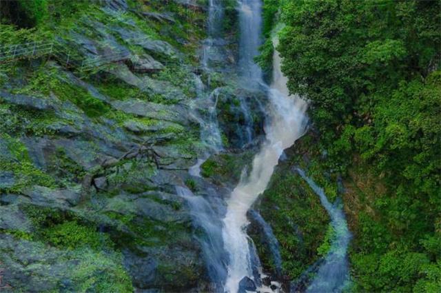 全球最大固态硬盘开启预售:61TB容量,价格超26000元!