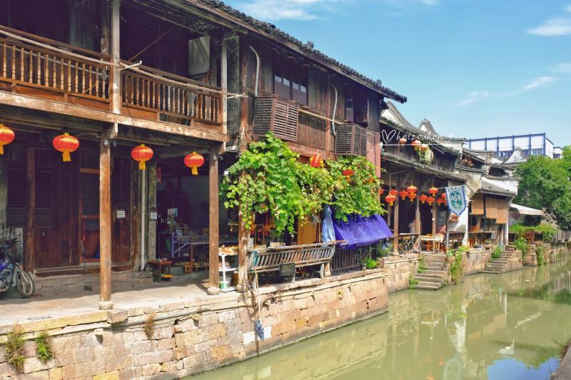 动物帮帮忙保卫家园
