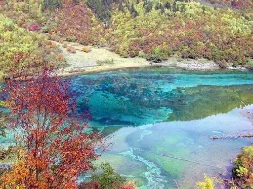 【党派之声】民建大兴区工委一支部召开2023年度工作总结会